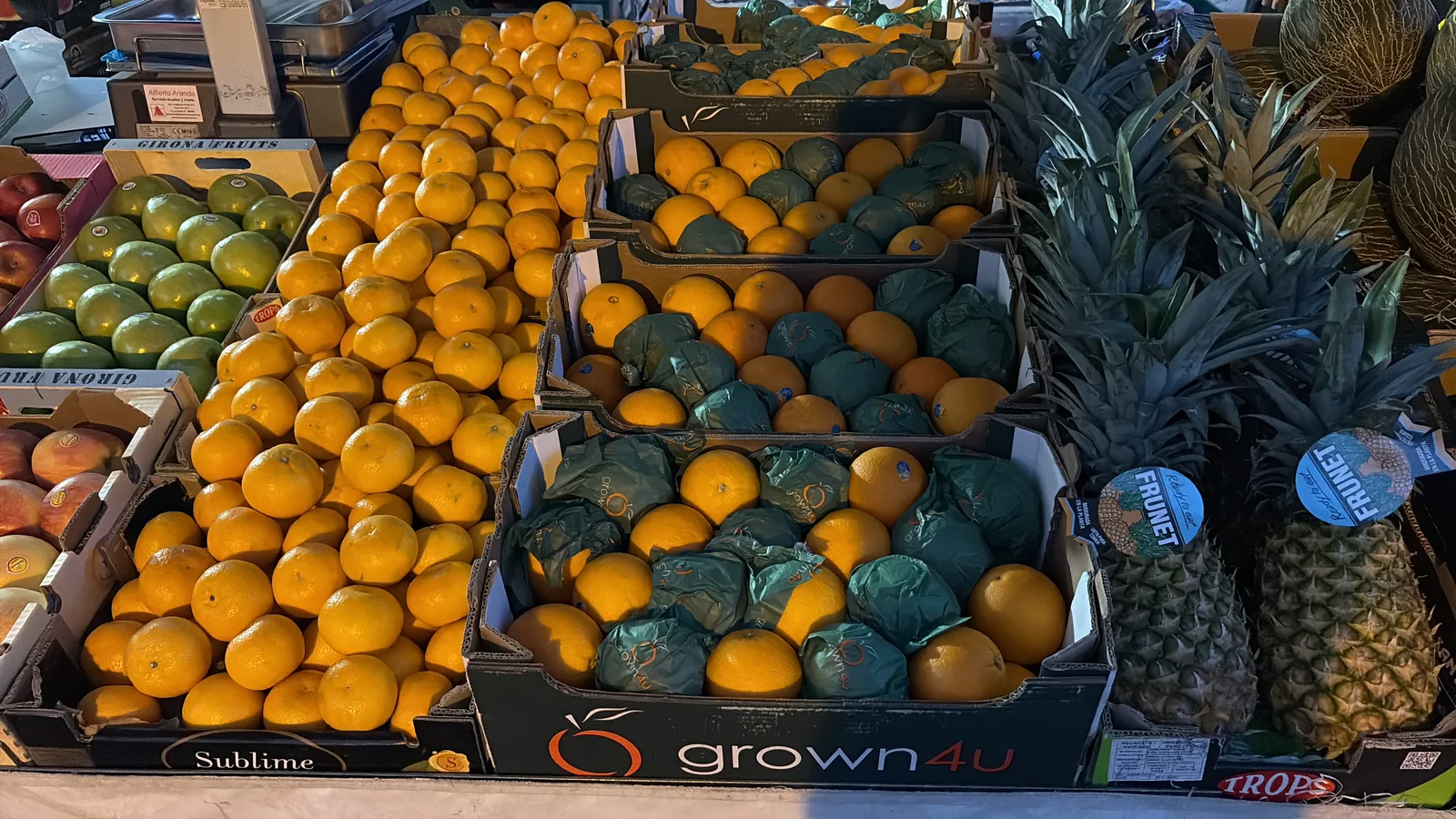 Mandarina, clementina y naranja: diferencias y cómo elegirlas